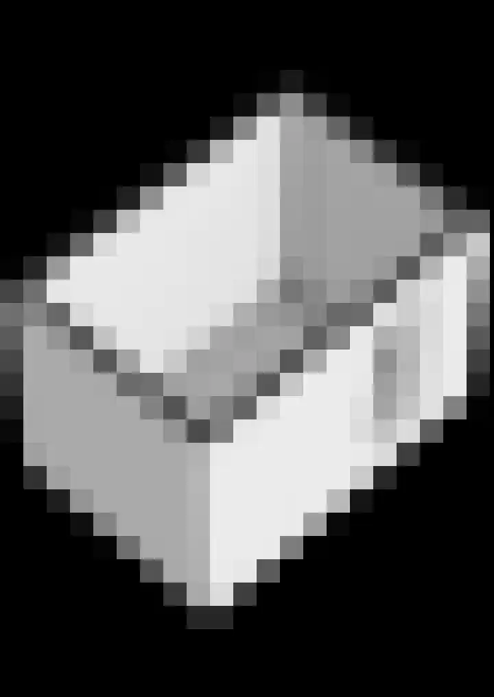 Coornhertdreef 26 Leiderdorp thumbnail 46