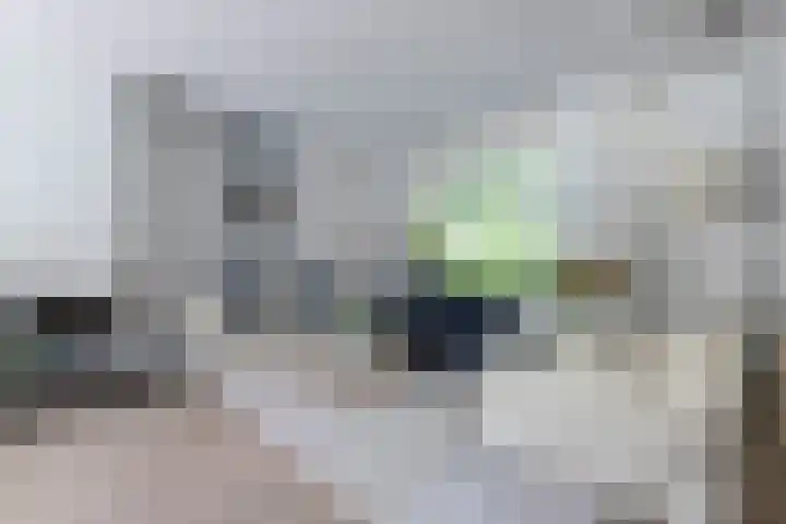 Coornhertdreef 26 Leiderdorp thumbnail 5