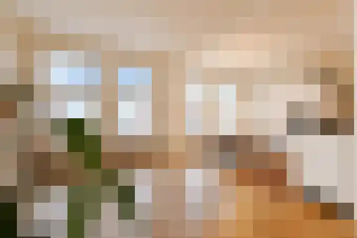 Copernicuslaan 149 Den Haag thumbnail 10