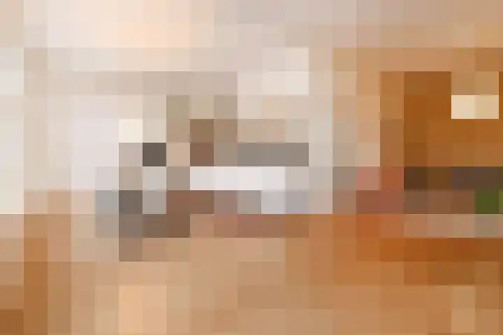 Copernicuslaan 149 Den Haag thumbnail 17