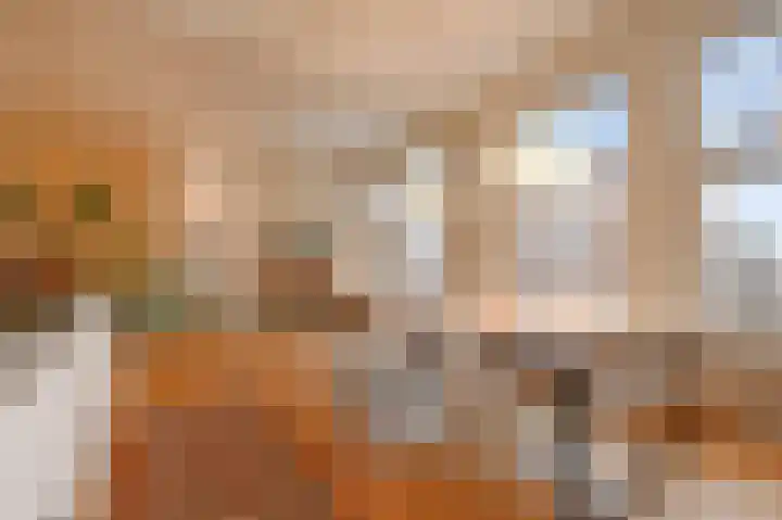 Copernicuslaan 149 Den Haag thumbnail 6