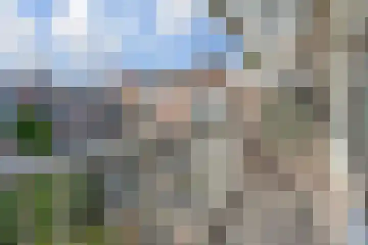 Copernicuslaan 164 Den Haag thumbnail 12