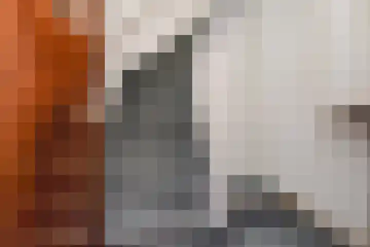 Copernicuslaan 164 Den Haag thumbnail 4