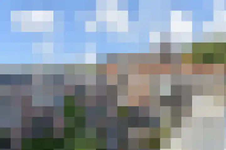 Copernicuslaan 164 Den Haag thumbnail 40