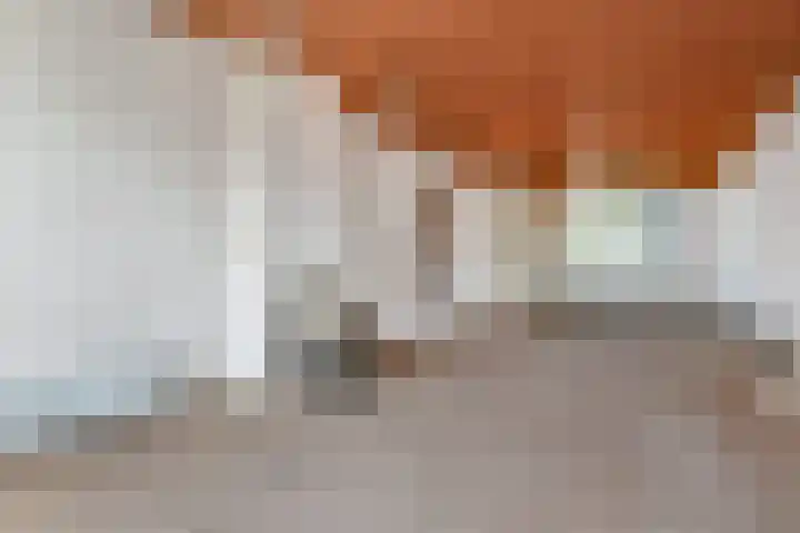Copernicuslaan 164 Den Haag thumbnail 6