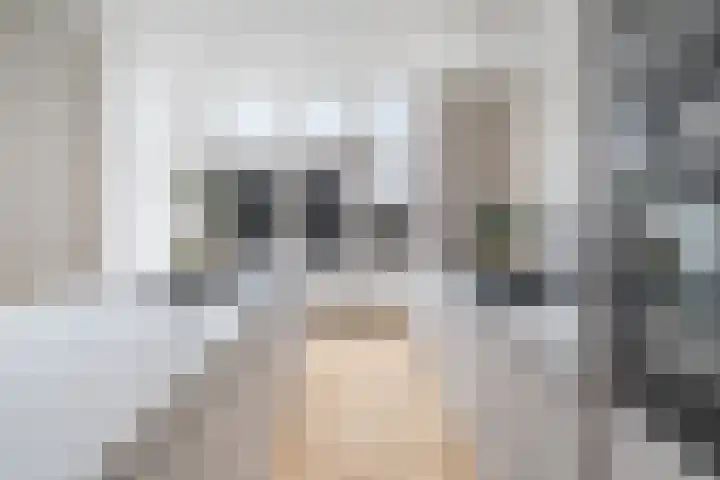Copernicuslaan 2 Den Haag thumbnail 5