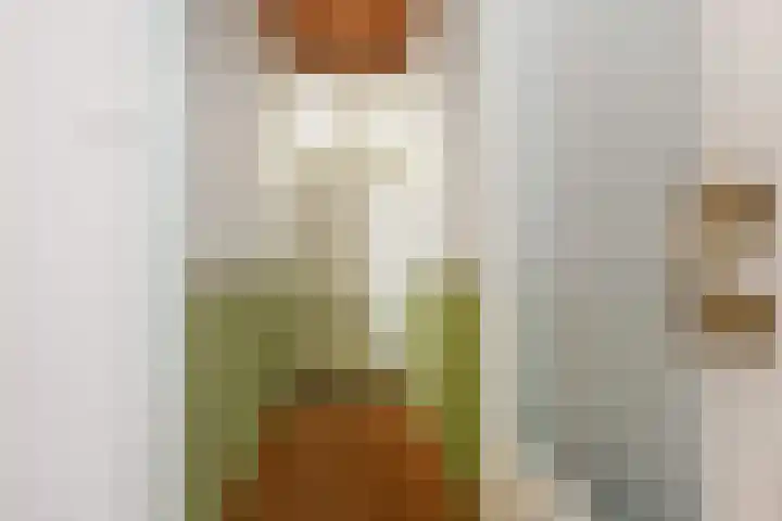 Copernicuslaan 6 Den Haag thumbnail 10