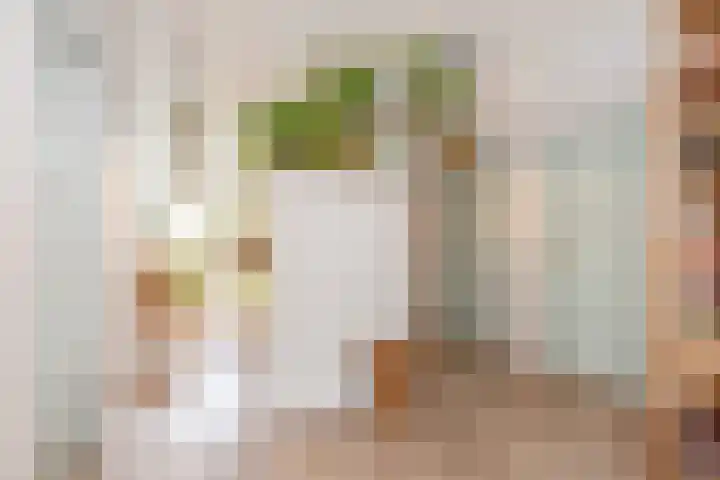 Copernicuslaan 6 Den Haag thumbnail 13