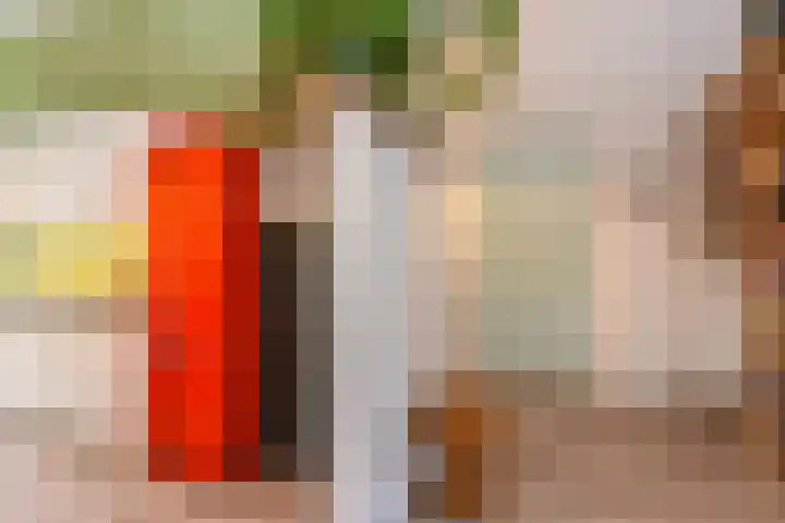 Copernicuslaan 6 Den Haag thumbnail 14