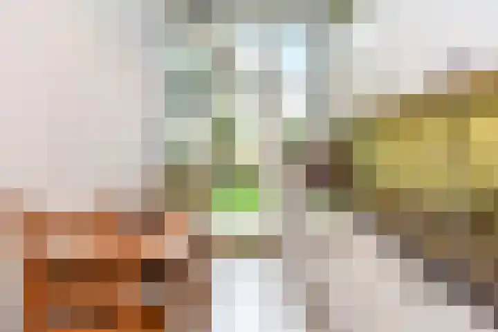 Copernicuslaan 6 Den Haag thumbnail 15