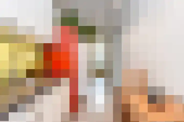 Copernicuslaan 6 Den Haag thumbnail 18