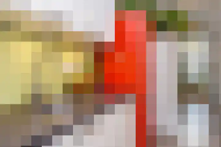 Copernicuslaan 6 Den Haag thumbnail 19