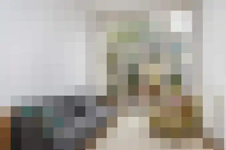 Copernicuslaan 6 Den Haag thumbnail 22
