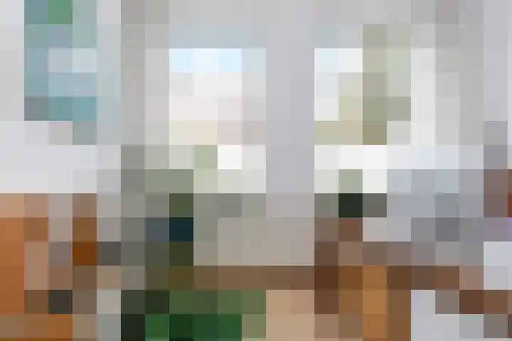 Copernicuslaan 6 Den Haag thumbnail 30