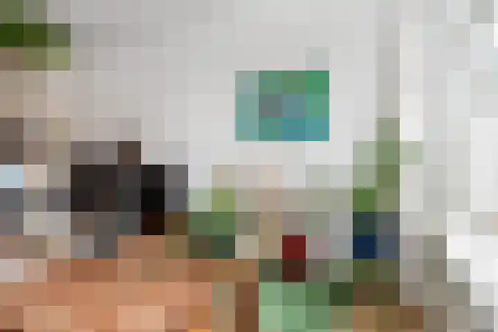 Copernicuslaan 6 Den Haag thumbnail 32