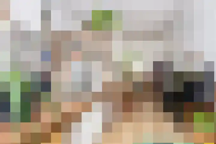 Copernicuslaan 6 Den Haag thumbnail 33