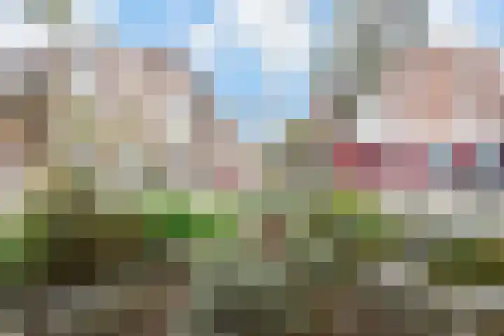 Copernicuslaan 6 Den Haag thumbnail 5
