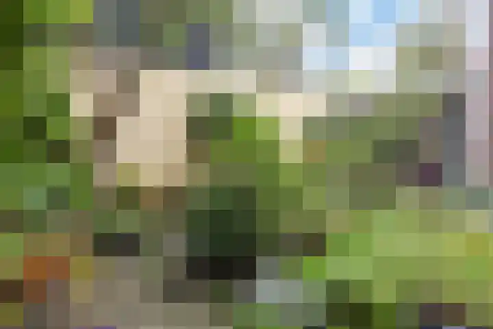 Copernicuslaan 6 Den Haag thumbnail 50