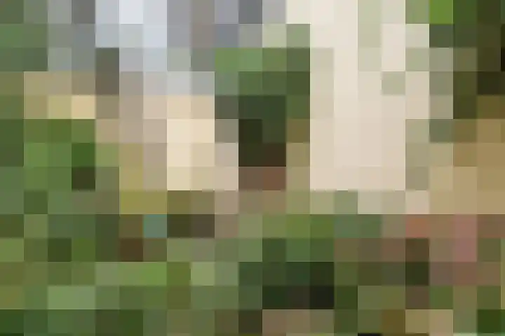 Copernicuslaan 6 Den Haag thumbnail 51