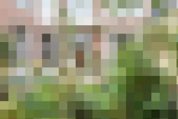 Copernicuslaan 6 Den Haag thumbnail 52