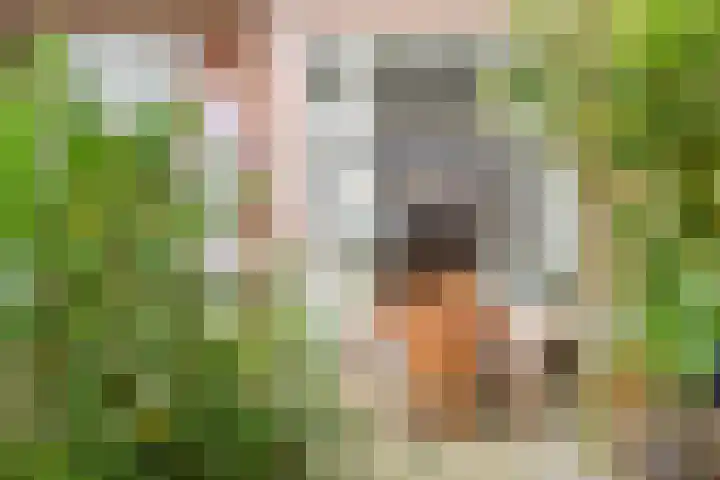 Copernicuslaan 6 Den Haag thumbnail 53