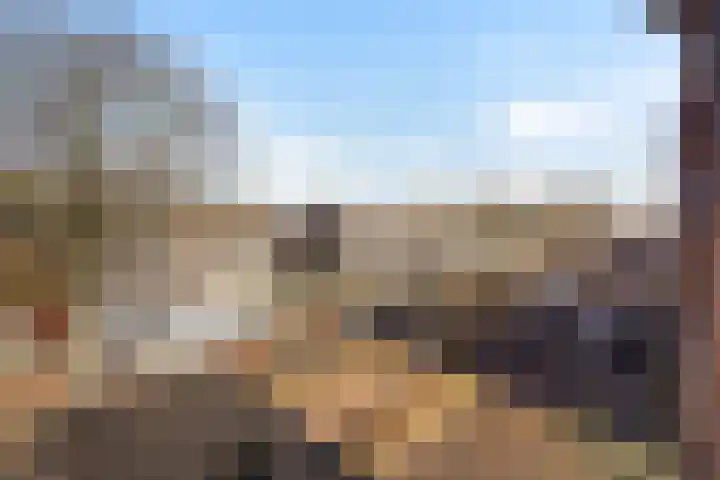 Copernicuslaan 76 Den Haag thumbnail 17