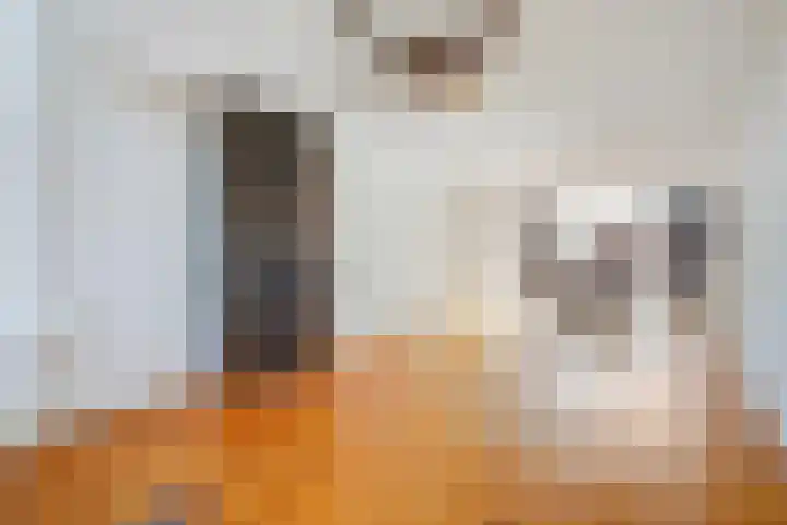 Copernicuslaan 76 Den Haag thumbnail 18