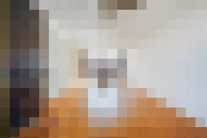 Copernicuslaan 76 Den Haag thumbnail 19
