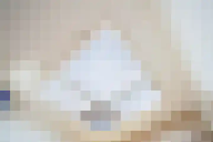 Copernicuslaan 76 Den Haag thumbnail 34