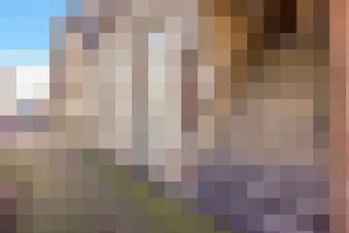 Copernicuslaan 76 Den Haag thumbnail 5