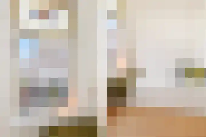 Copernicusstraat 11 A Den Haag thumbnail 11