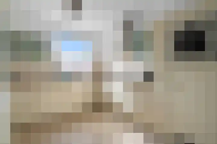 Copernicusstraat 20 Kudelstaart thumbnail 10
