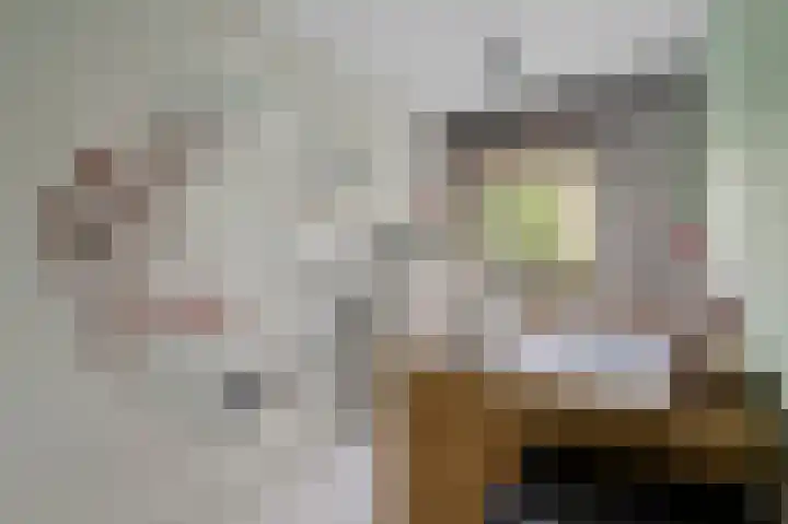 Copernicusstraat 20 Kudelstaart thumbnail 22