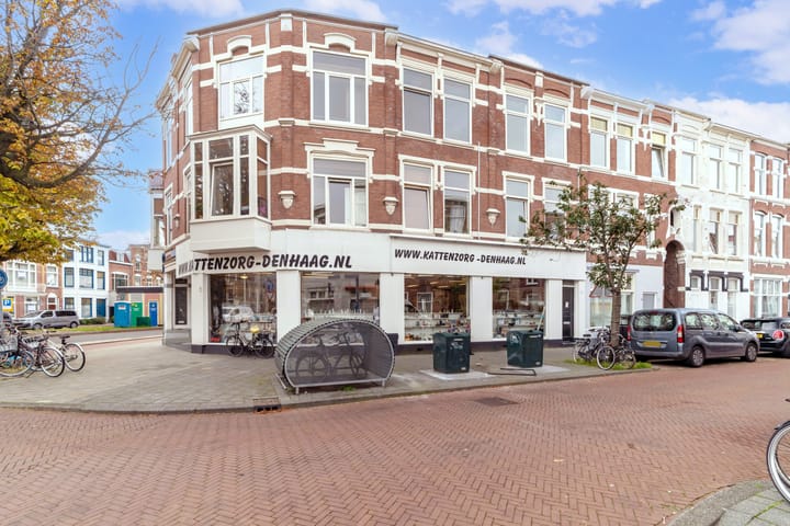 Copernicusstraat 220C in 's-Gravenhage