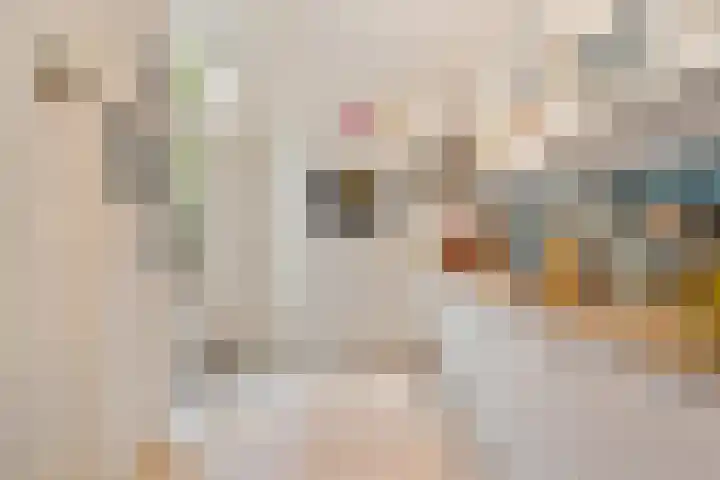 Copernicusstraat 221 Den Haag thumbnail 31