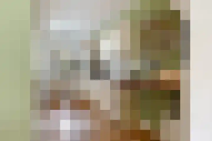 Copernicusstraat 3 Kudelstaart thumbnail 16