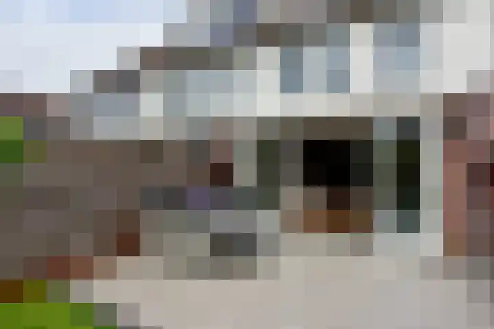 Copernicusstraat 3 Kudelstaart thumbnail 23