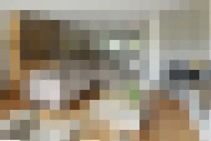 Copernicusstraat 3 Kudelstaart thumbnail 4