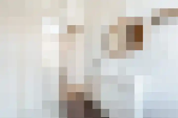 Copernicusstraat 58 3 Amsterdam thumbnail 15
