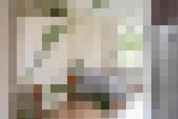Cor Bruijnweg 5 Wormerveer thumbnail 15