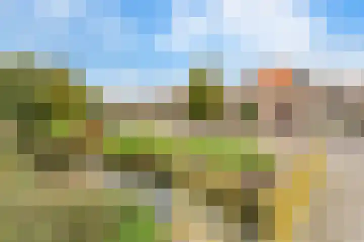 Cor Bruijnweg 5 Wormerveer thumbnail 26
