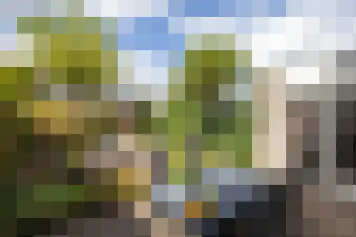 Cor Hilbrinkstraat 29 Borne thumbnail 20