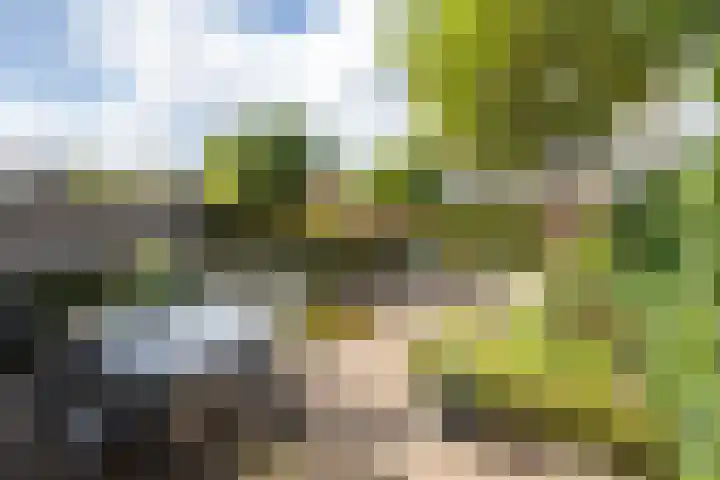 Cor Hilbrinkstraat 29 Borne thumbnail 21