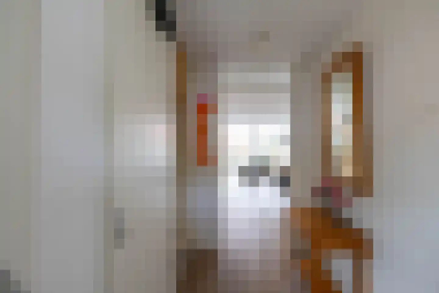 Coranthijnestraat 10 Groningen thumbnail 10