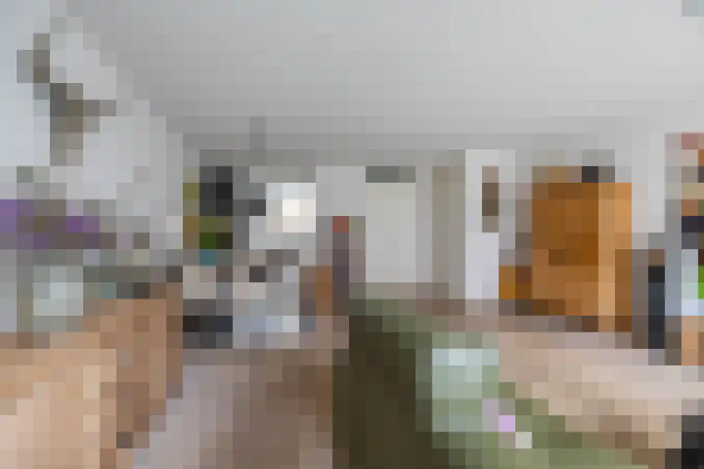 Coranthijnestraat 10 Groningen thumbnail 13