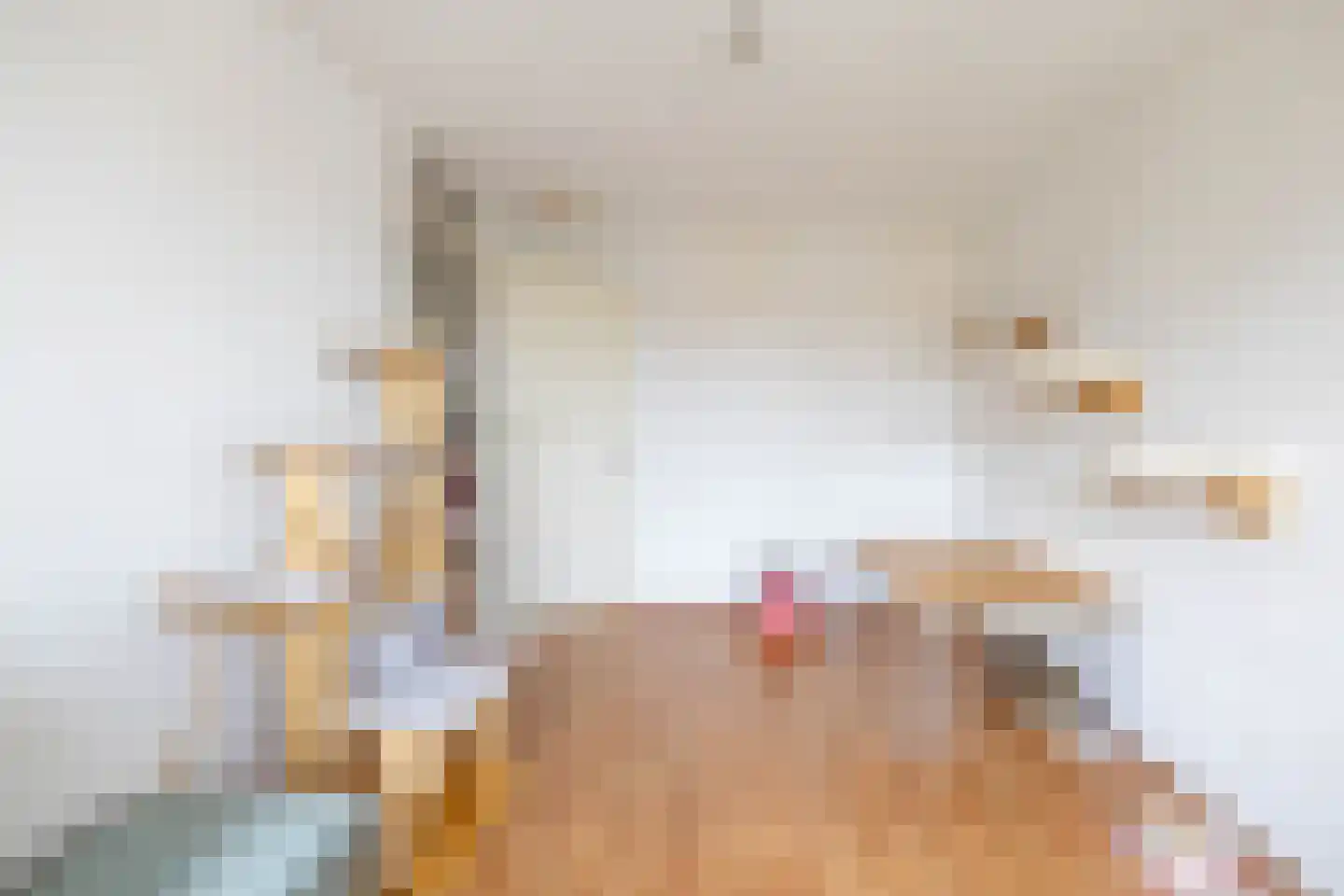 Coranthijnestraat 10 Groningen thumbnail 30