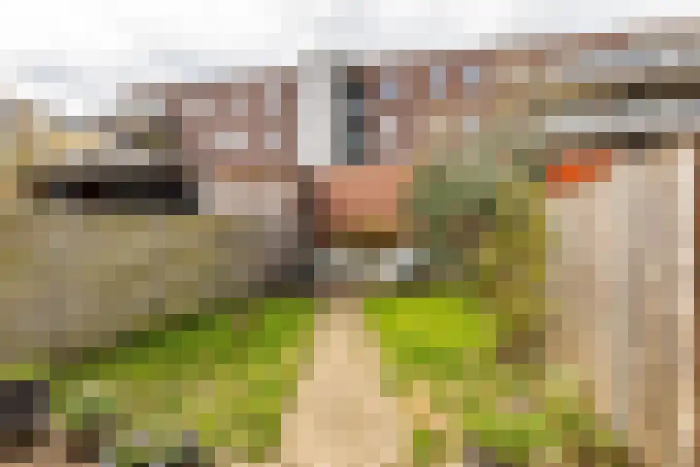 Coranthijnestraat 10 Groningen thumbnail 35