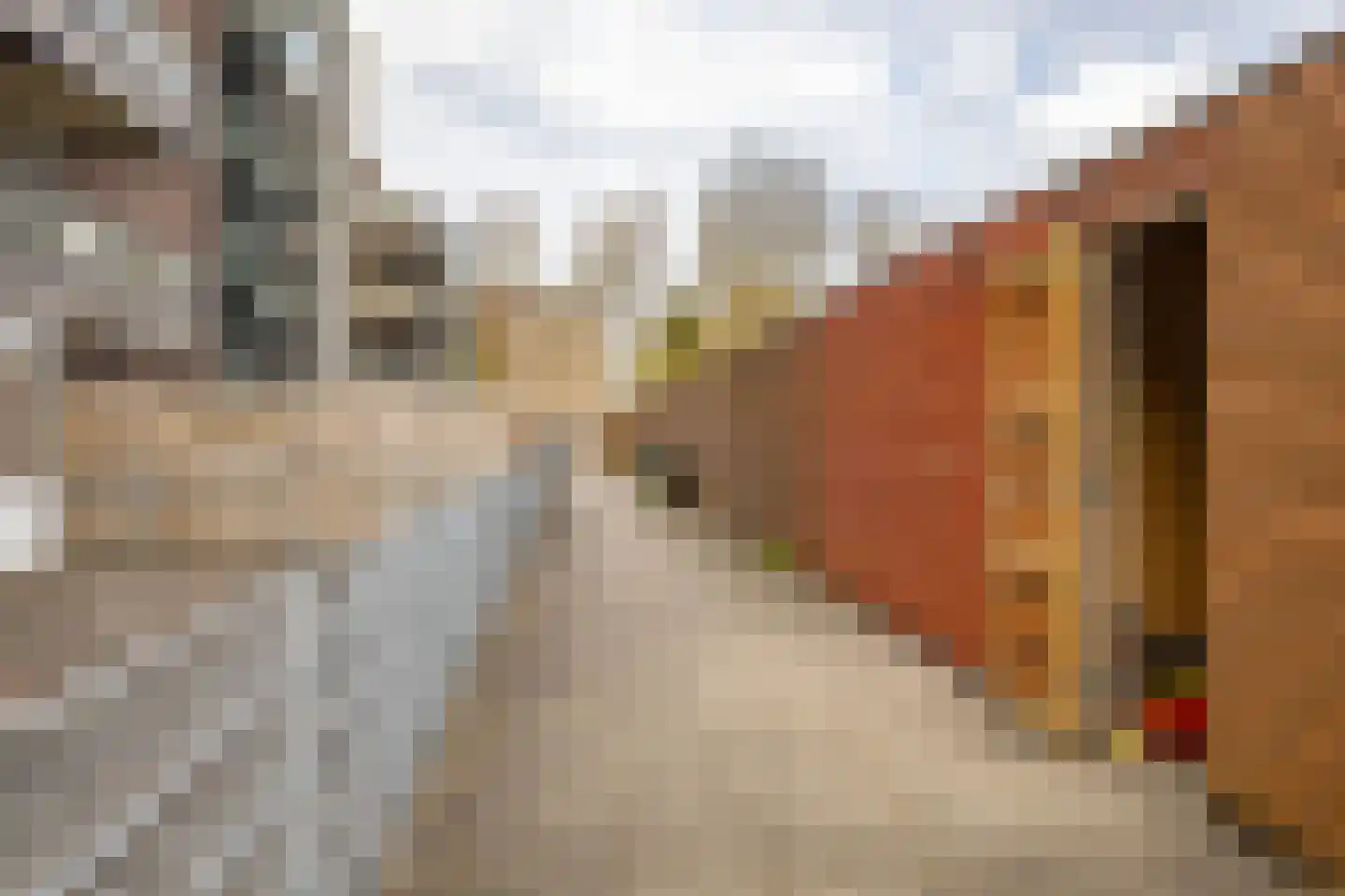 Coranthijnestraat 10 Groningen thumbnail 36