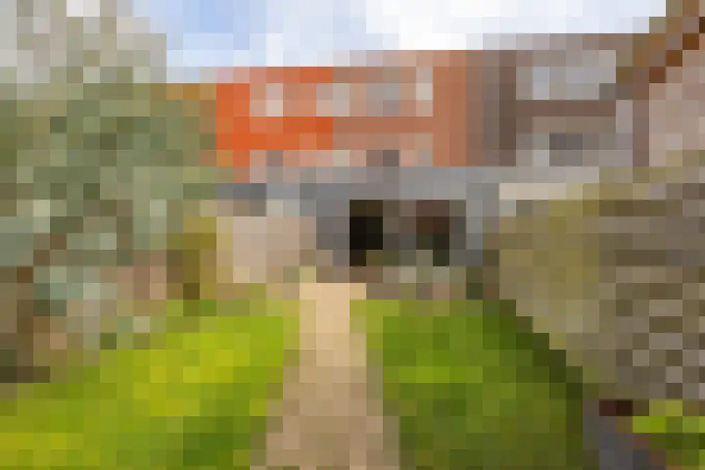 Coranthijnestraat 10 Groningen thumbnail 4