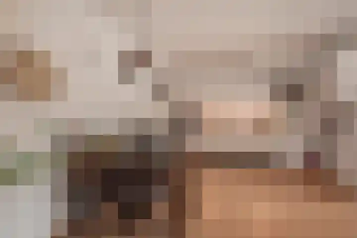 Corbuloschans 2 Zoetermeer thumbnail 13